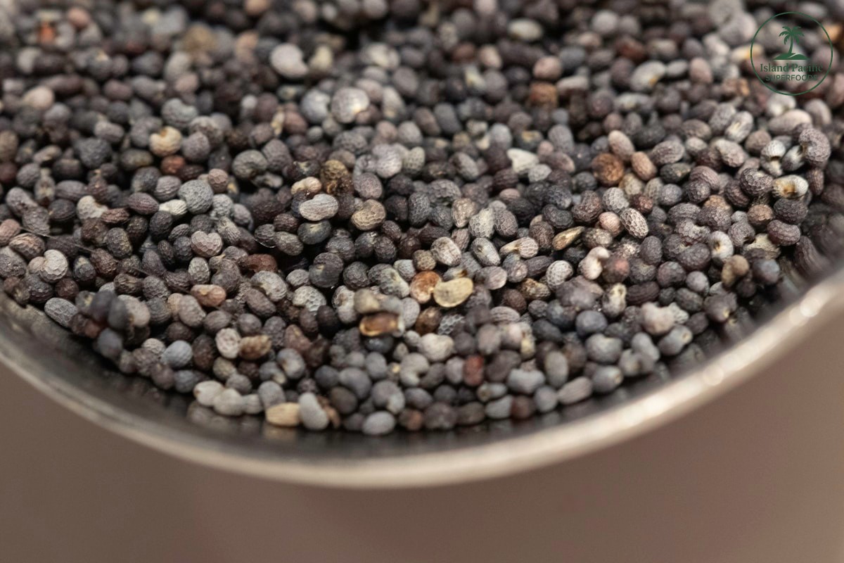 Why Include Seeds in Your Diet - So Many to Choose From!!